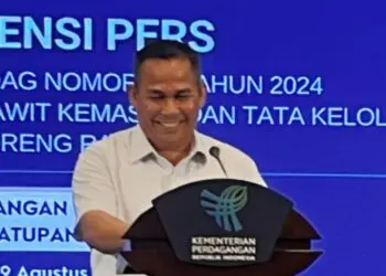 Moga Simatupang, the Director General of Domestic Trade at the Ministry of Trade, talked about the permit issuance of Chinese Temu App. Credit: Ministry of Trade