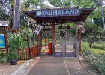 Fauna Land