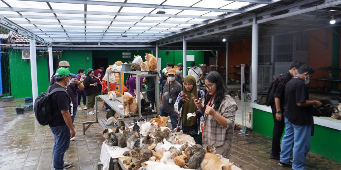 Bolt supports 50 shelters across Indonesia
