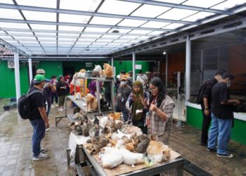 Bolt supports 50 shelters across Indonesia