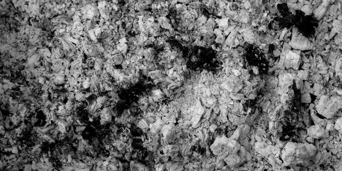 Illustration of biochar utilized by Google in collaboration with startups to remove carbon. Credit: Isometrics