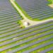 Illustration of photovoltaics that will be developed by Green Power and ZTE Indonesia. Credit: Derek Sutton/Unsplash