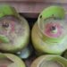 Govt applied restrictions on purchasing 3 kg LPG. Credit: Haris
