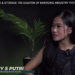 Carbon Capture and Storage (CCS)