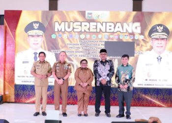 Regional Spatial Plans (RTRW)